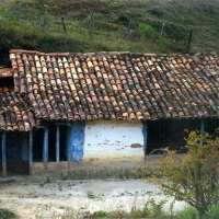 Construes 2000
